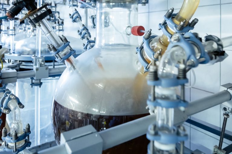 German Black Fungus Transforms Industrial Waste Into Sustainable Treasure