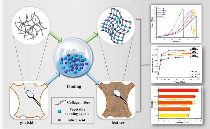Highly Compatible Polylysine Tanning Agent Drives Chrome Free Innovation for Dual Advantages